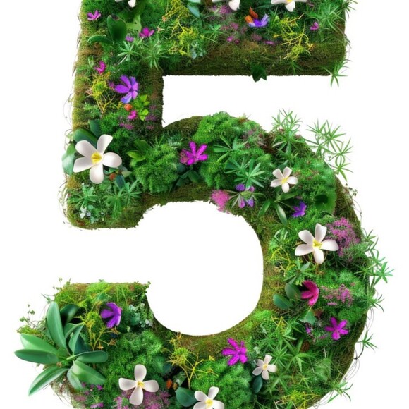 5doodads5